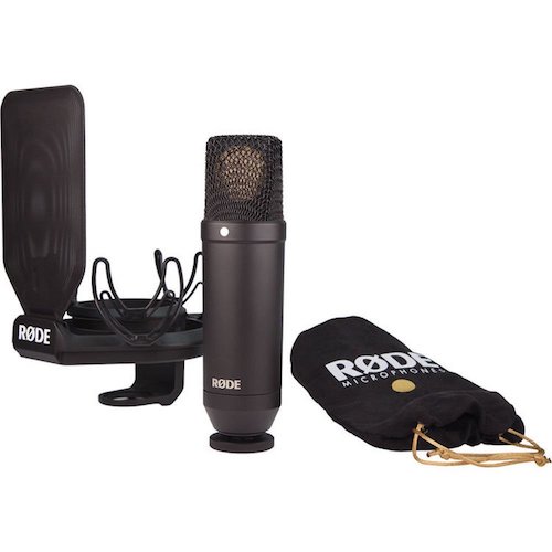 The Best Vocal Mics for Under $500_2