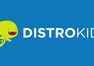 DistroKid vs. TuneCore vs. CD Baby | Digital Distribution_2