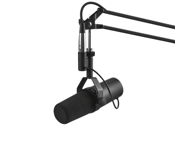 Shure SM7B Review - is it really the best podcasting mic? - Not So Ancient  Chinese Secrets