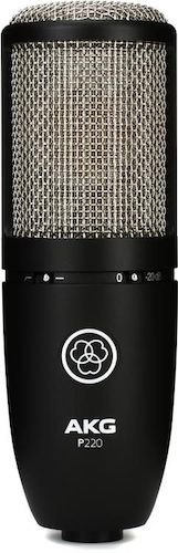 The 5 Best AKG Microphones for Any Budget in 2022_4
