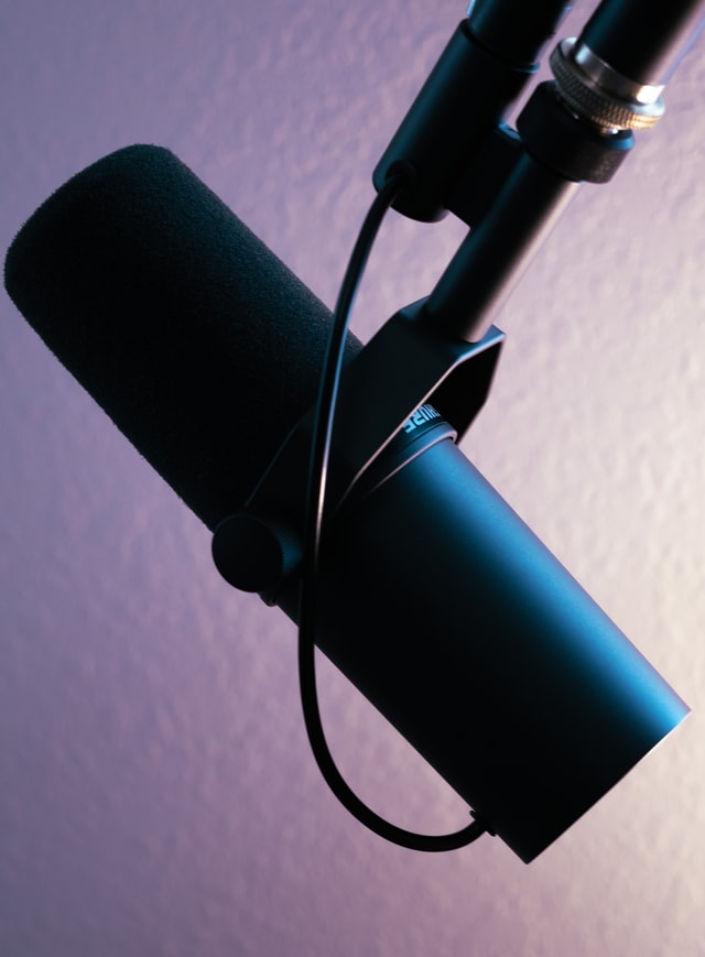 The 10 Best Dynamic Microphones for Any Budget in 2022_3