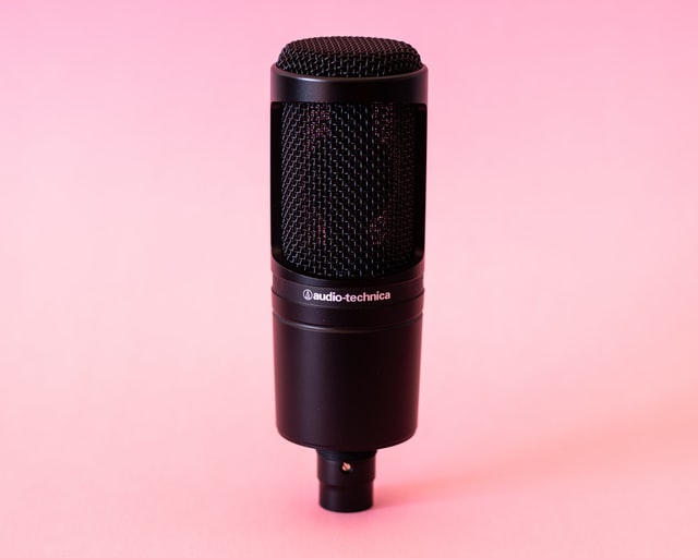 10 Best Home Studio Mics in 2022 [Any Budget]_2