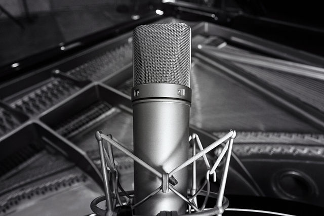 10 Best Home Studio Mics in 2022 [Any Budget]_5
