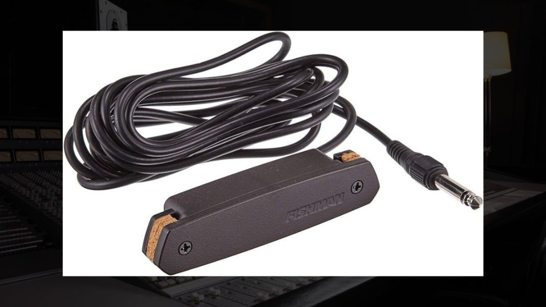 Fishman Neo-D Single Coil Soundhole Pickup