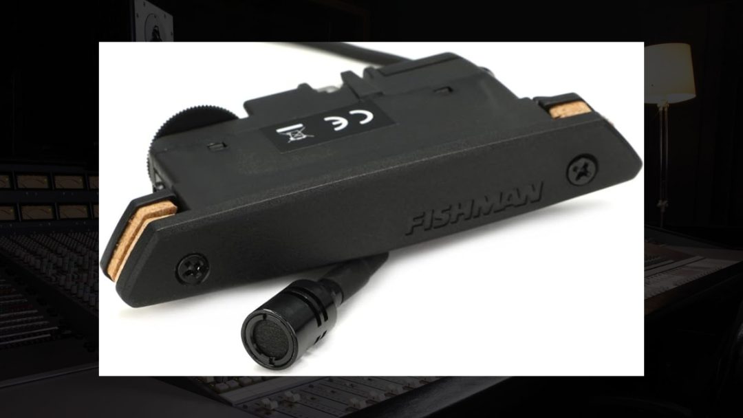 Fishman Rare Earth Magnetic Acoustic Soundhole Humbucker Pickup